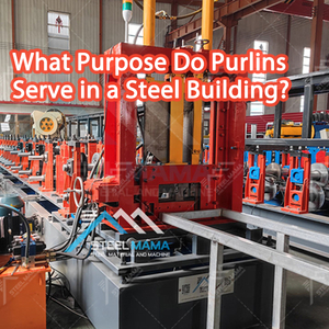 What Purpose Do Purlins Serve in a Steel Building.jpg